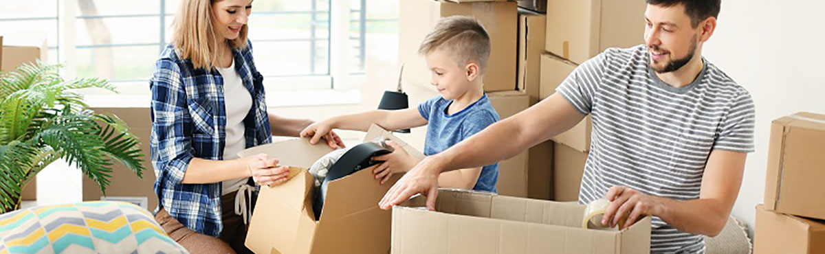 Carton standard de déménagement pour vos objets